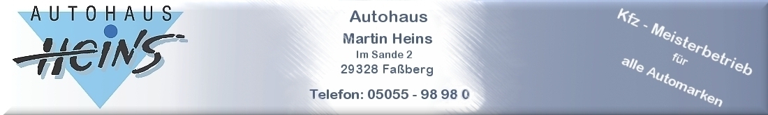 Autohaus Martin Heins